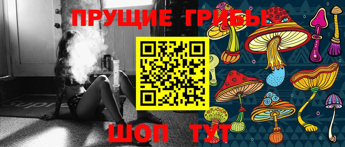 Тавда  наркотики  Вход с VPN  Галлюциногенные грибы GOLDEN TEACHER 